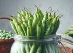 A Comprehensive Guide to Freezing Runner Beans